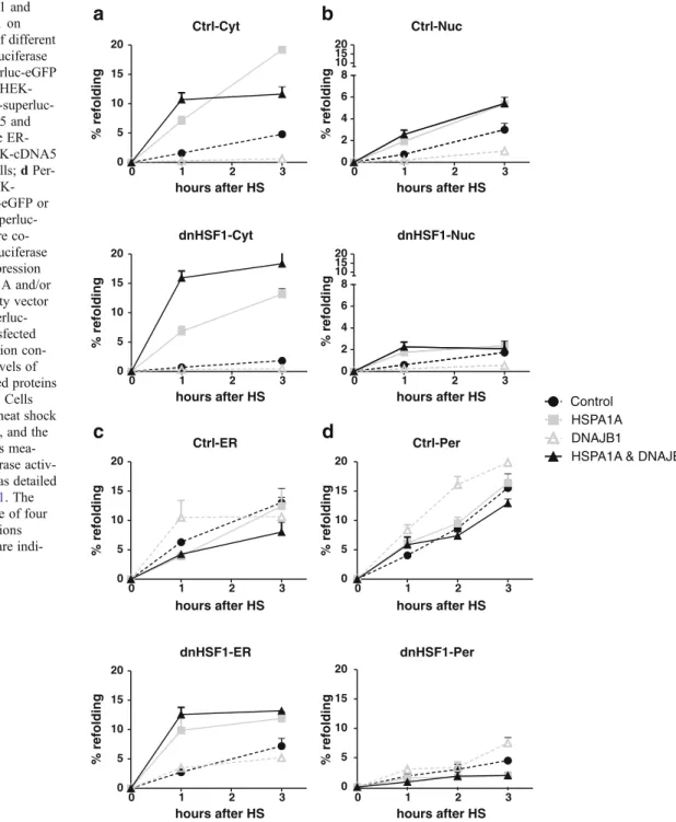 Fig. 2 Effect dnHSF1 and b
