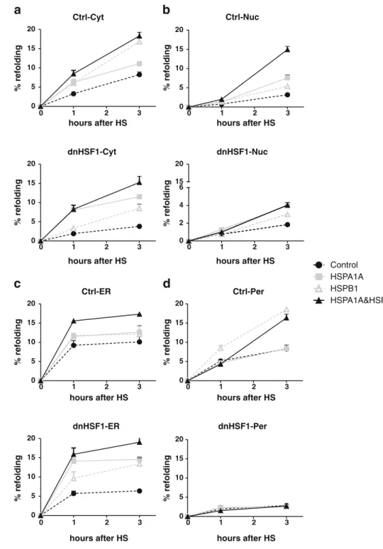 Fig. 5 Effect HSPA1A and b