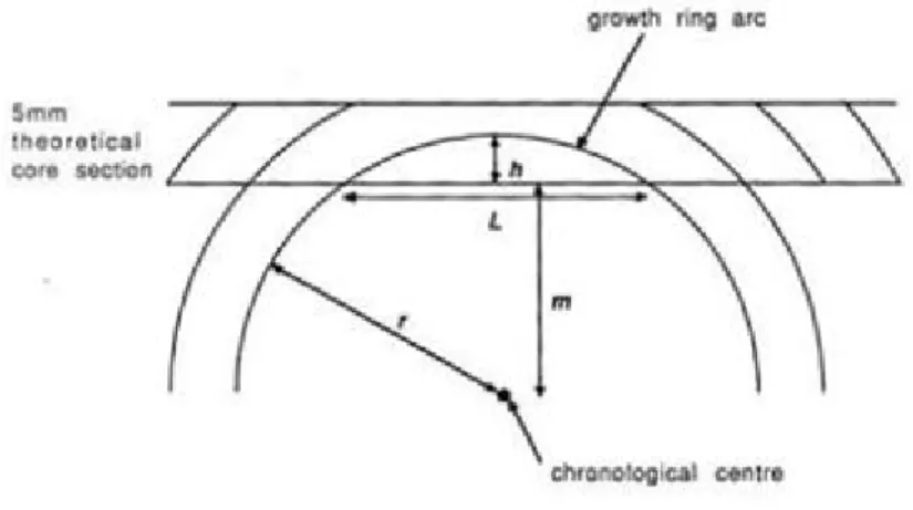 Figure 2 – Distance to Pith equation with variable figure. This figure depicts the  location of different variables in reference to tree rings present on a theoretical  increment core (Speer, 2010)