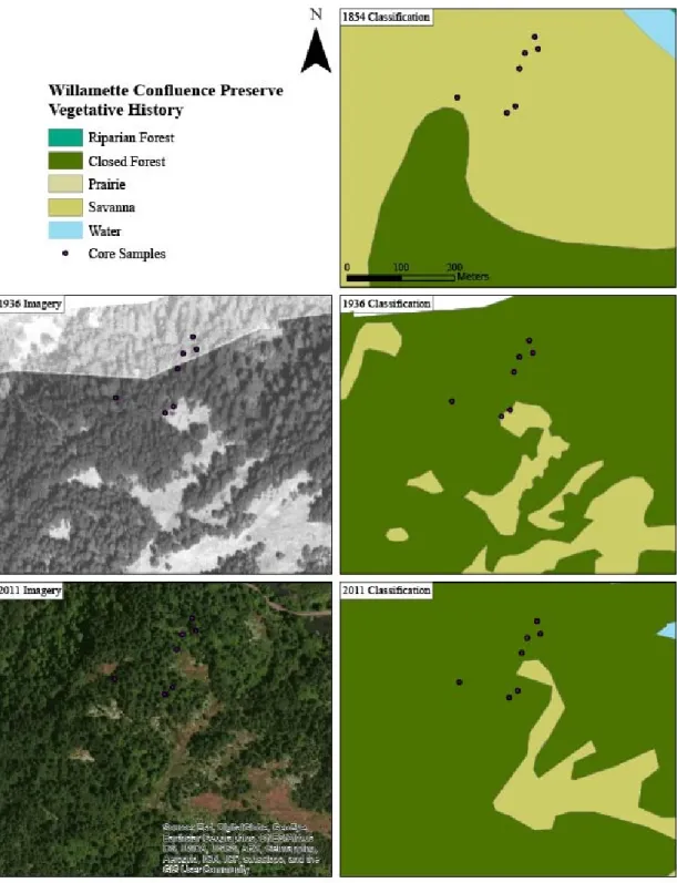 Figure 7 – Aerial imagery and vegetative classification through time at the Willamette  Confluence Preservation Site