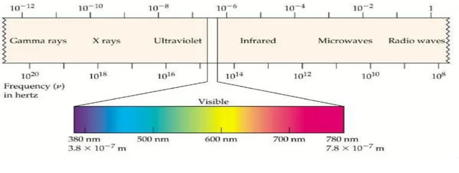 Fig 1.1 