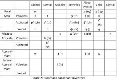 Figure 2: Bumthang consonant inventory 