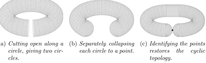 Fig 4: Self-gluing of T 2: From a donut to a sausage. These operations areonly topological, Figure 5 reﬂects the changes in geometry.