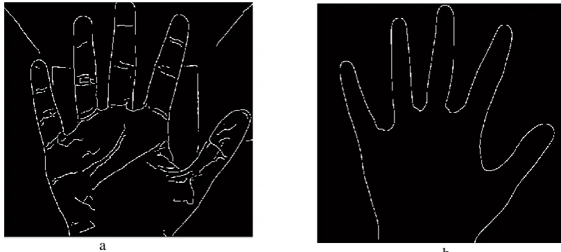 Figure (6) hand palm image after canny filter 