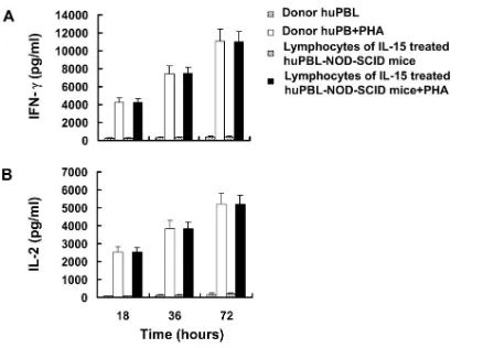 FIG. 7. Cytokine production by the cells of lymph nodes from huPBL-NOD-SCID mice treated with rhIL-15
