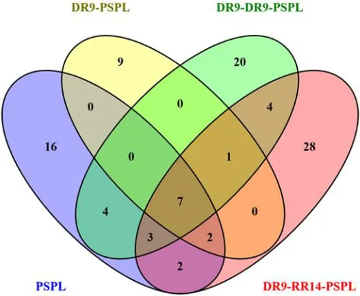 Table 4-2: Most abundant proteins based on relative ion abundance score from control 