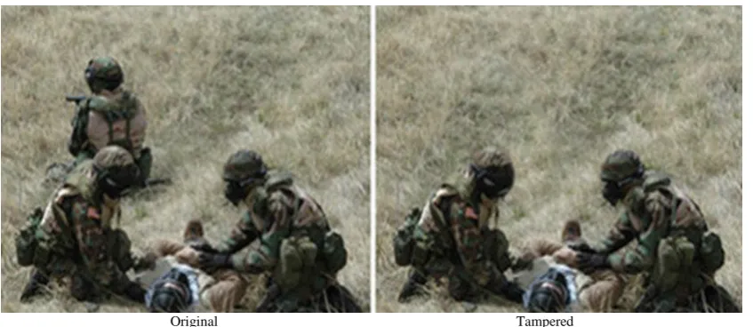 Figure 1. Copy-Move forgery example 