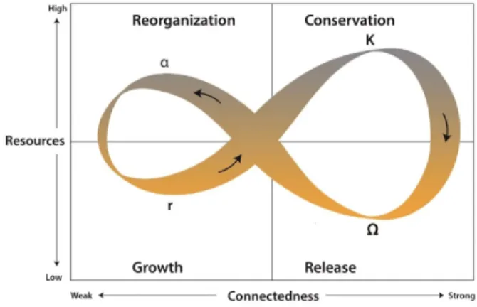 Figure 1: Socio-ecological systems model (Auad et al,  2018) 