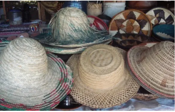 Figure 4. Hats made from water hyacinth plants. 