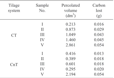 Fig. 2. Schema of percolation system under saturated conditions.