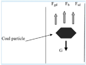 Figure 1.3 Forces acting on a single particle. 