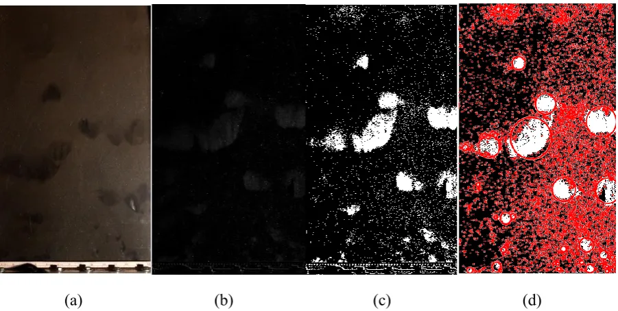 Figure 2.3 Image processing procedure: (a) Original RGB image (b) Grey image (c) Binary image (d) Image with circles   
