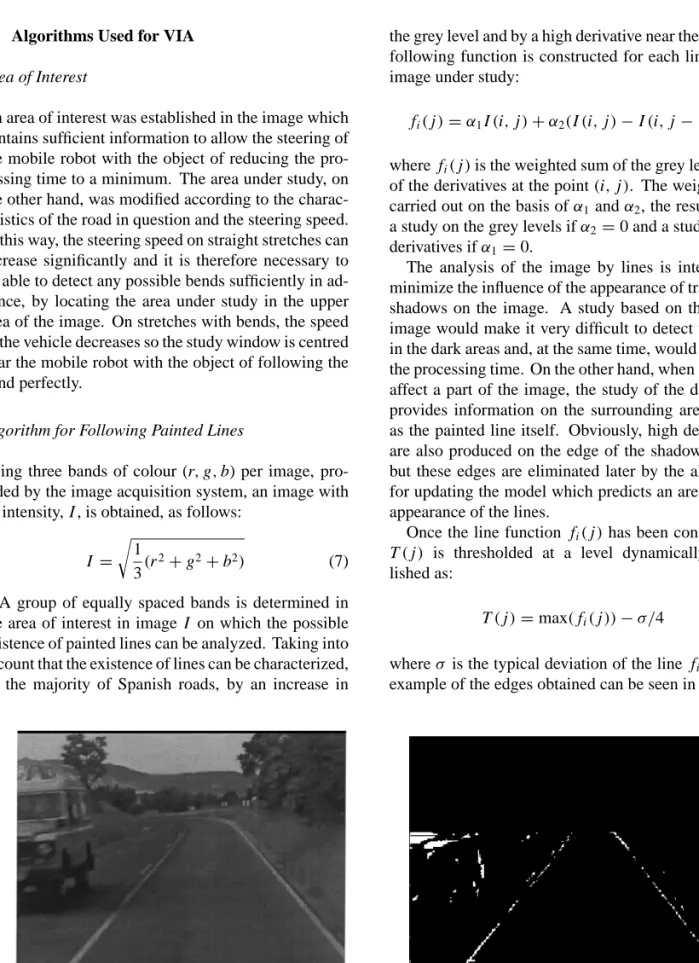 Figure 10. Gray level image (a). Lines detected (b).