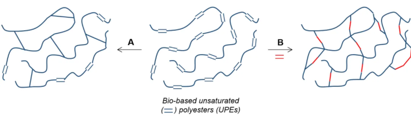 Figure 2. Curing of bio-based unsaturated polyesters (UPEs) either without (A) or with (B) the addition of a curing agent, resulting in cross-linked thermosets.