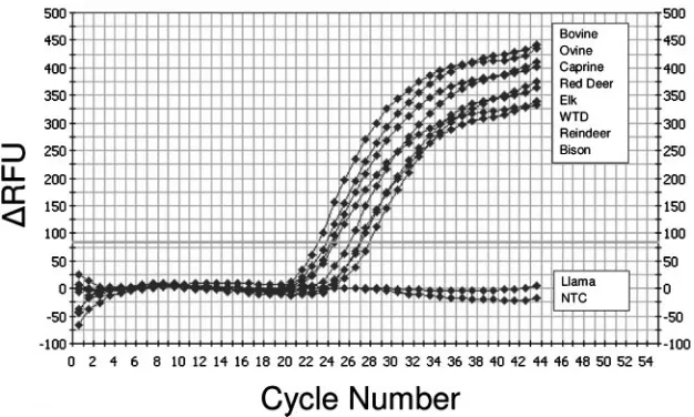 FIG. 1. Typical IFN-�from mitogen-stimulated PBMCs of the following species: bovine (deer (the absolute emission intensity (delta RFU indicates relative ﬂuorescence units subtracted by the background ﬂuorescence signal); theand llama ( real-time RT-PCR amp