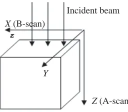Figure 2. The three-dimensional scanning directions.by the optical length scan of the system