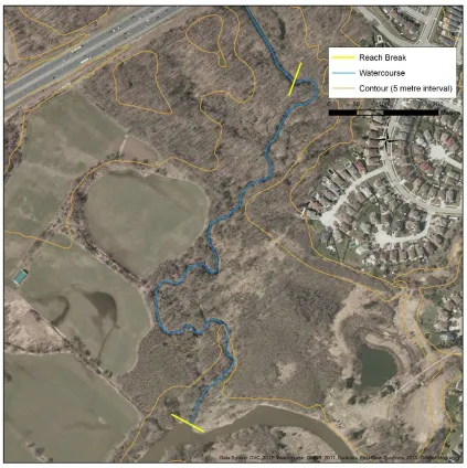 Figure 4.3 – Irregular meandering apparent in a medium-sized watercourse (Reach FC1). 