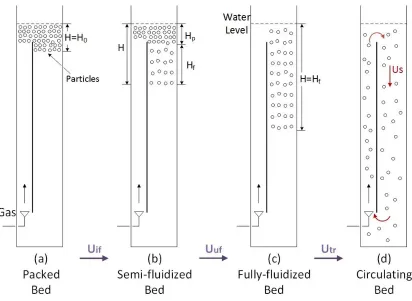 Figure 2.5 The inverse fluidization regimes in the main system 