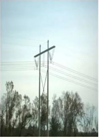 Fig. 2-1. Concrete Pole systems 