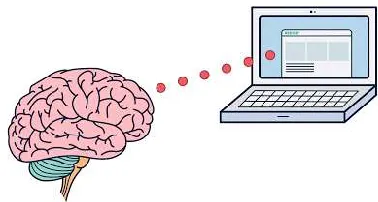 Fig 1: Regions of brain 