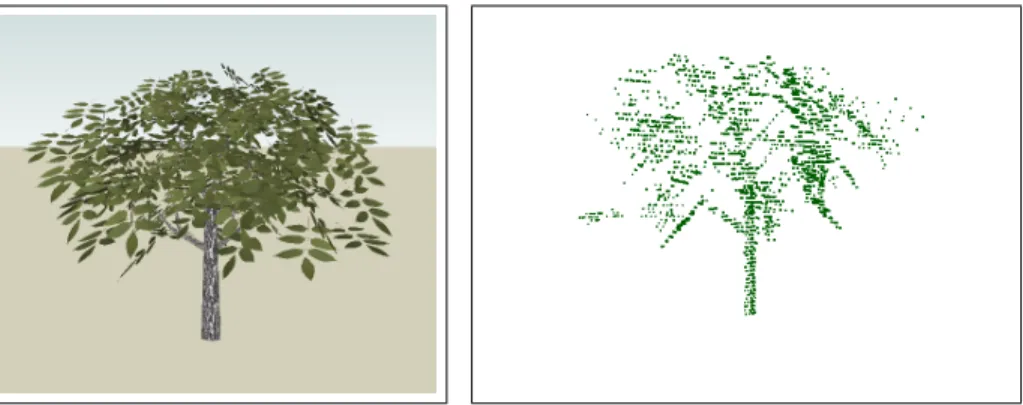 Figure 4: (left) Tree model from the 3D Warehouse and (right) point cloud extracted via ray casting.