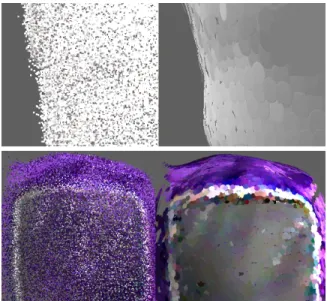 Fig. 8 illustrates the difference between raw data point clouds and surfel models. Shown on the right are the surfel patches belonging to two separate objects