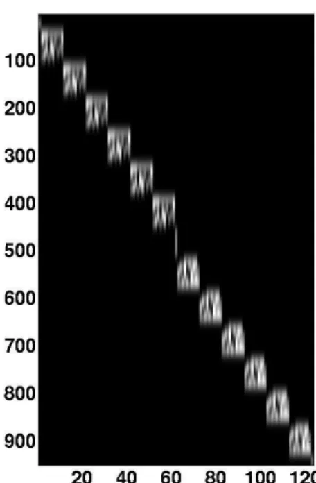 Figure 3: A representative bar code forward map P = αG(σ)D corresponding to parameters r = 10, α = 1, and σ = 1.5.
