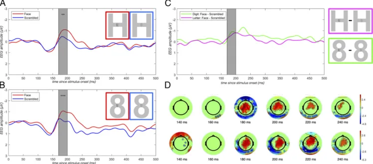 Fig. 5. Neurophysiological evidence of face detection despite lack of awareness: N170 component