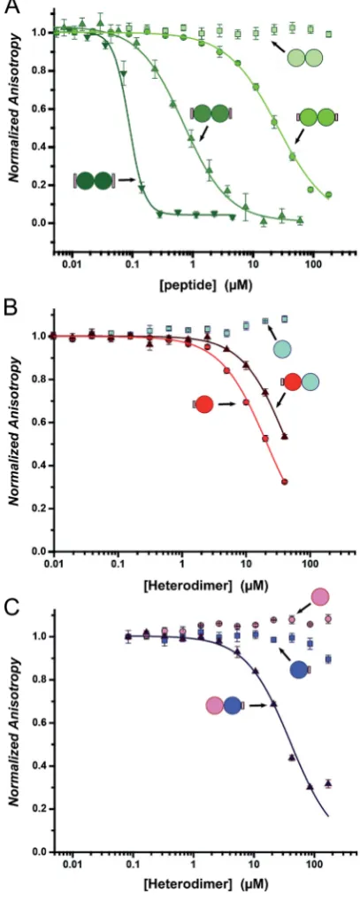 Fig. 4Competitive-displacement assays of hybrid peptides inhibitingthe MCL-1/FITC BID interaction