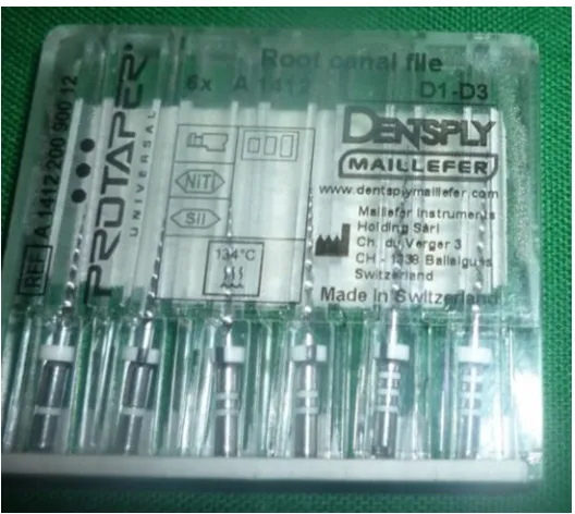 Fig No.13 ProTaper retreatment file 