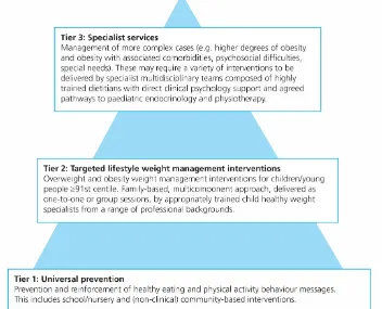 Figure 1: Tiered approach to overweight and obesity prevention and management 