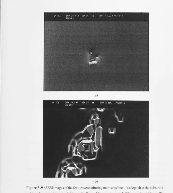 Figure 3 .9 : SEM images of the features constituting meniscus lines. (a) deposit at the substrate-