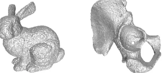 Figure 4: Bunny and hip-bone models. The vertices of the hip-bone model were randomly perturbed using Gaussian noise, while noisy points were added to the vertex set of the bunny model to increase the density