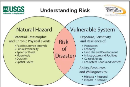 Figure 1 Understanding Risk ii