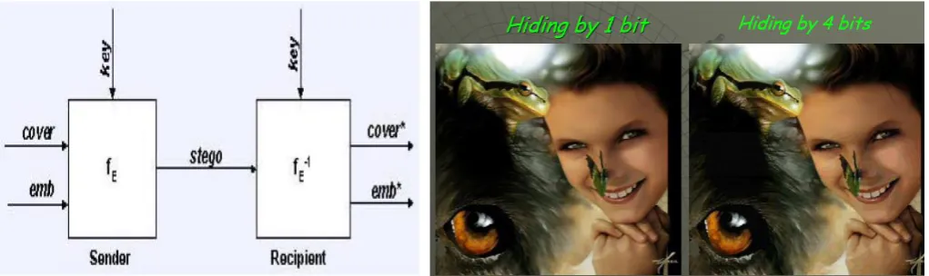 Figure 2 Graphical Version of the Steganographic Process                             Figure 3 Example of steganography 