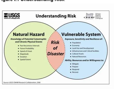 Figure i.1 Understanding Risk 