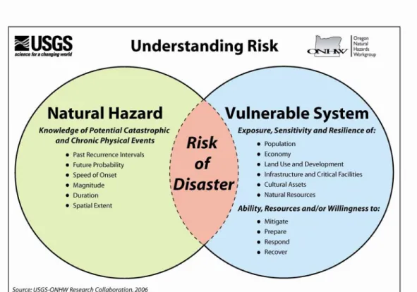 Figure 1.1 Understanding Risk 