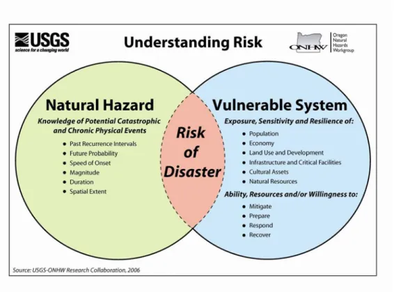 Figure 2.1 Understanding Risk 