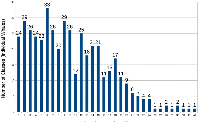 Figure 2.8: A summary of the number of whales with a certain number of images. There are24 whales (or classes) with only 1 training image and 29 whales with 2 images