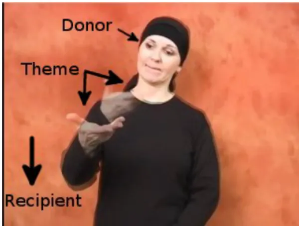 Figure 1: BSL Standard GIVE