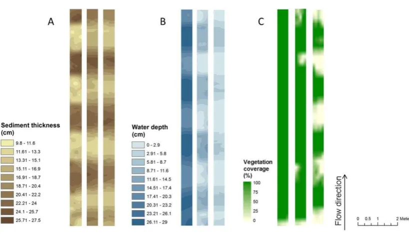 Figure 3. Spatial distribution of A) sediments thickness (cm), B) water depth (cm) and C) vegetation coverage (%) in the flumes