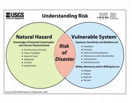 Figure i.1 Understanding Risk 