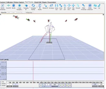Figure 3. The motion capture computer software used to calculate the maximum reach for 