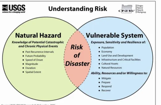 Figure 1.1 Understanding Risk 