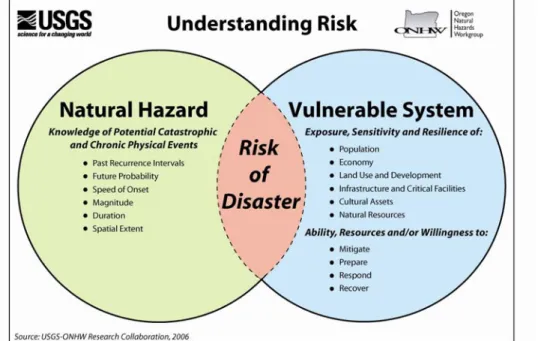 Figure 3.1 Understanding Risk 