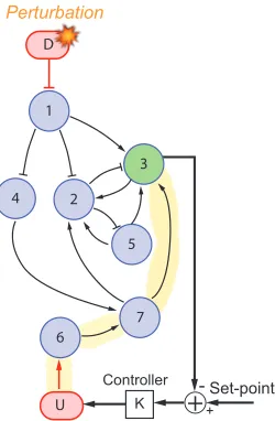 Fig. 1: (A) DREAM3 gene regulatory network. Purple circles represent genes and red rectangles represent external inputs.The arrow denotes the direction of the regulation