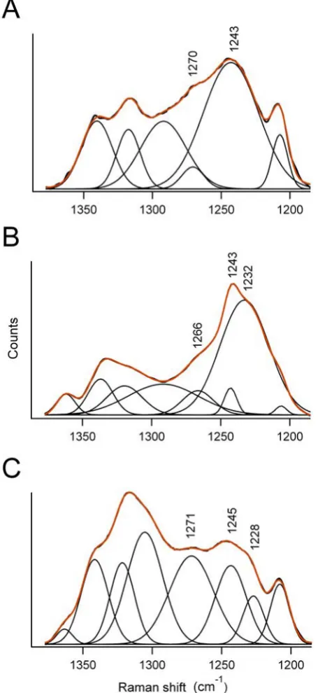 Figure 3.6: Deconvolution of the amide III region of Raman spectra obtained from three kindsof silk