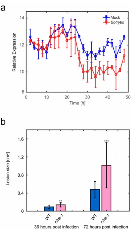 Figure 1. Expression and role of CHE during infection with B. cinerea (a) Expression of the