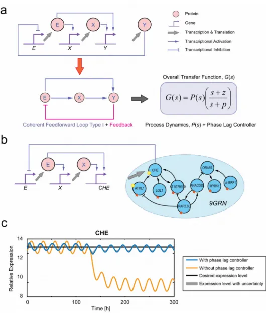 Figure 4. Perturbation mitigation using a genetic phase lag controller. (a) Genetic circuit of