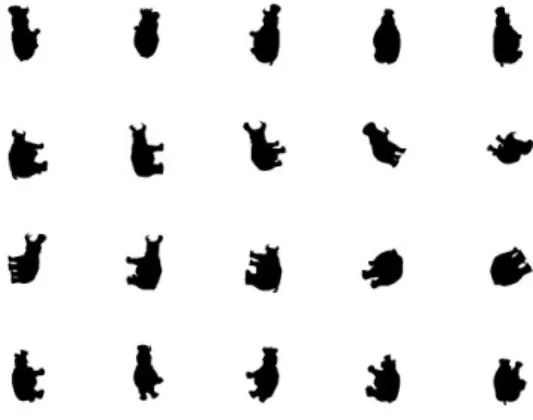 Figure 5 A typical example of 2D silhouettes  from a camera set of dodecahedron. 